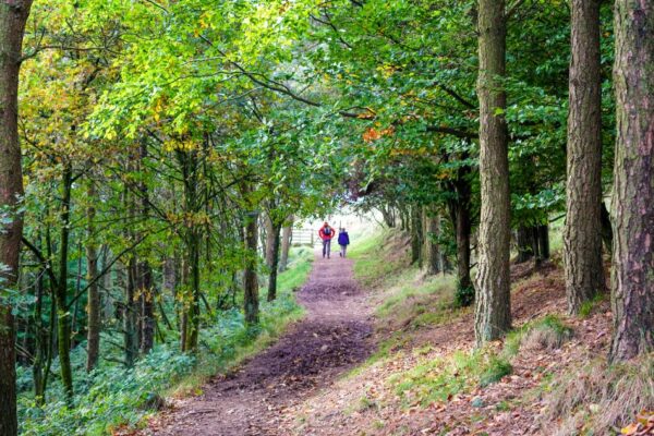 Woodland Walks | Bakewell Holiday Cottages - Near Chatsworth House | Peak District